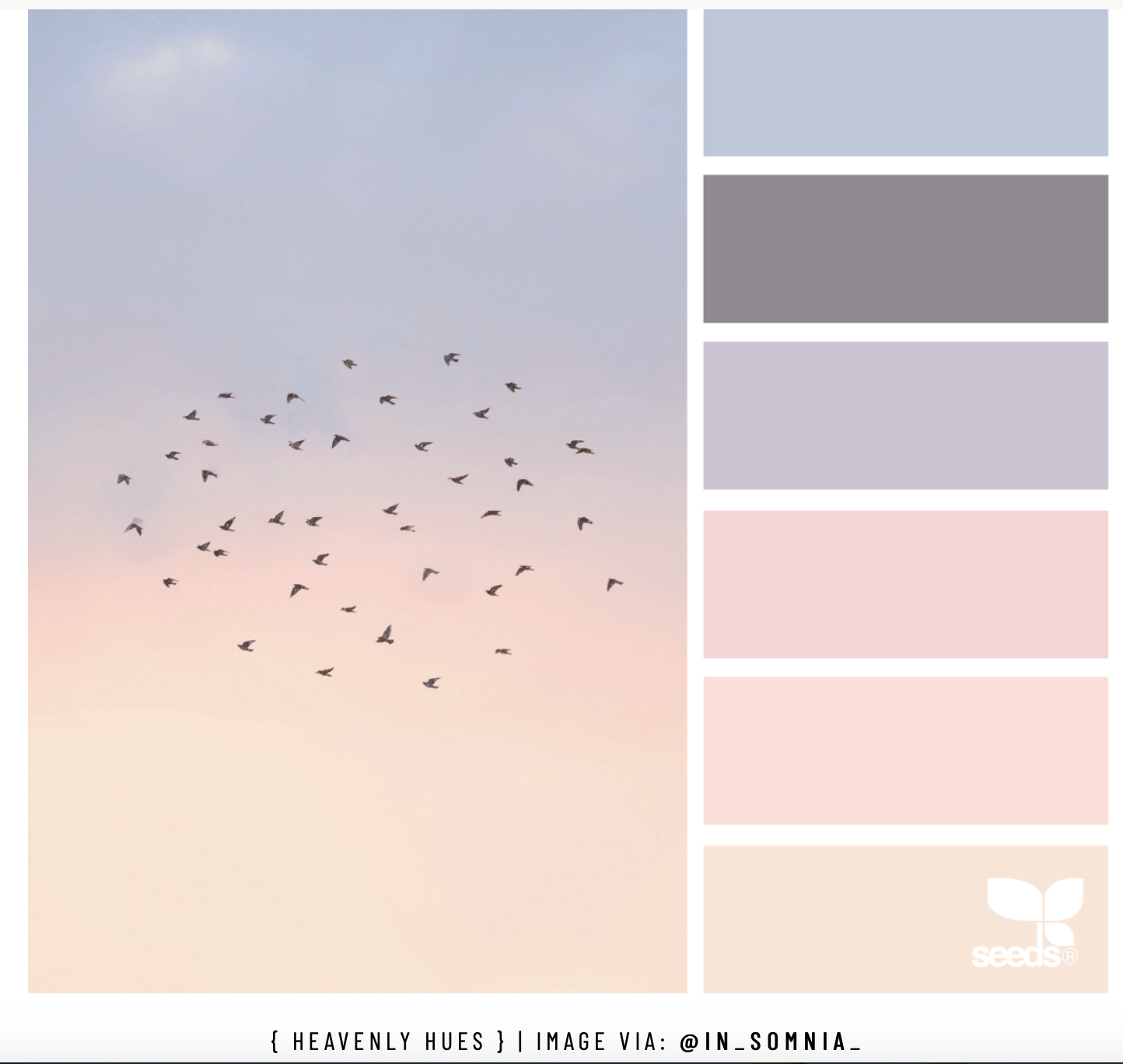 726c34b47fed76baae9f3a0e9ae632d3.png