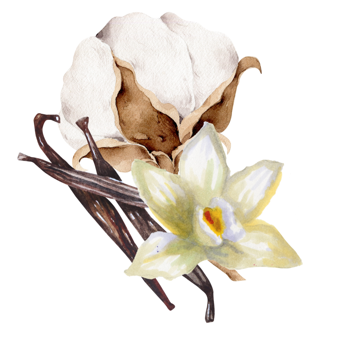 vanilla cotton sticker.png